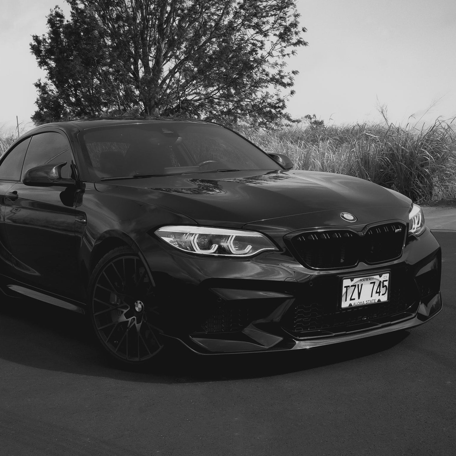 Black BMW car on a road with grass and trees in the background
