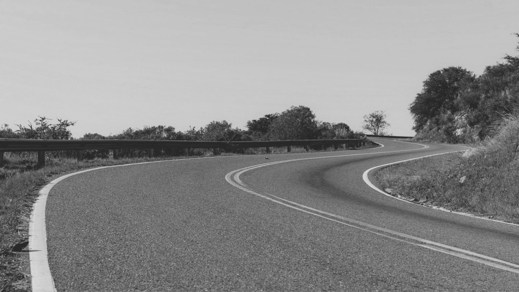 Winding road with trees on a clear day